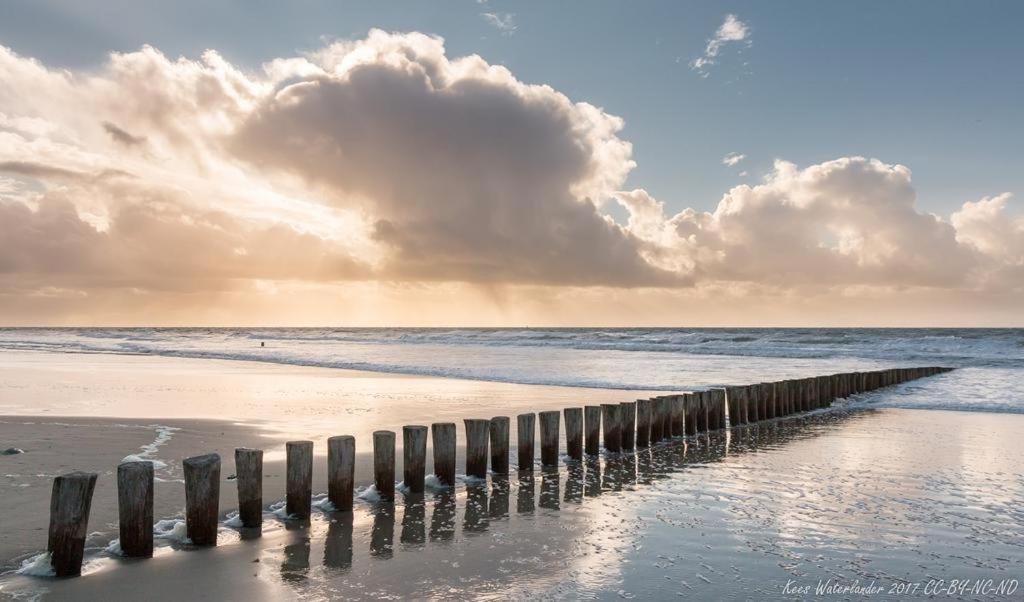 'T Strandhuys En De Vuurtoren, Met Eigen Keuken, Zonnig Terras Nabij Dorp, Duinen En Strand, Incl Verwarmd Binnen Zwembad 홀륌 외부 사진